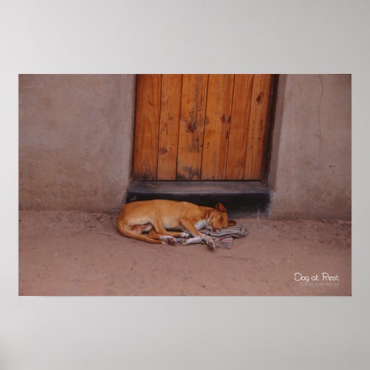 Hund an der Erholung Print and Poster (Vorne)