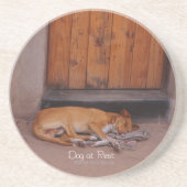 Hund an der Erholung Sandstein Untersetzer (Vorne)