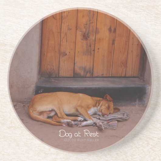 Hund an der Erholung Sandstein Untersetzer (Vorne)