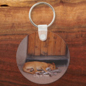 Hund an der Erholung Schlüsselanhänger (Vorderseite)