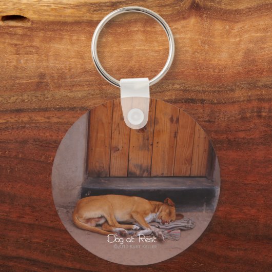 Hund an der Erholung Schlüsselanhänger (Vorderseite)
