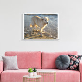Hund an der Küste Leinwanddruck (Insitu (Wohnzimmer))