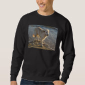 Hund an der Küste Sweatshirt (Vorderseite)
