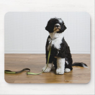 Hund an der Leine Mousepad