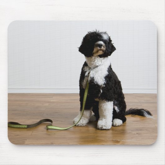 Hund an der Leine Mousepad (Vorne)