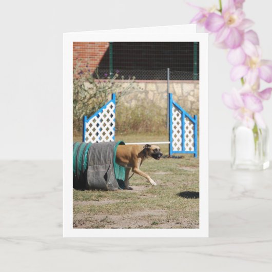 Hund an der Schulungsschule Karte (Orchidee)