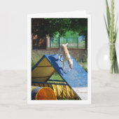 Hund an der Schulungsschule Karte (Vorderseite)