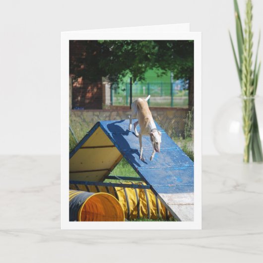 Hund an der Schulungsschule Karte (Vorderseite)