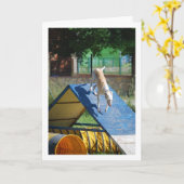 Hund an der Schulungsschule Karte (Gelbe Blume)