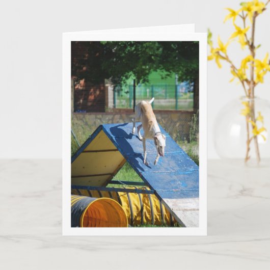 Hund an der Schulungsschule Karte (Gelbe Blume)