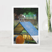 Hund an der Schulungsschule Karte (Vorderseite)