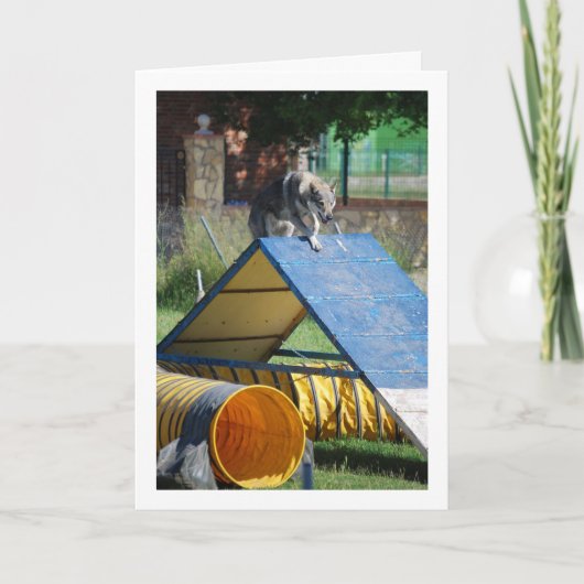 Hund an der Schulungsschule Karte (Vorderseite)