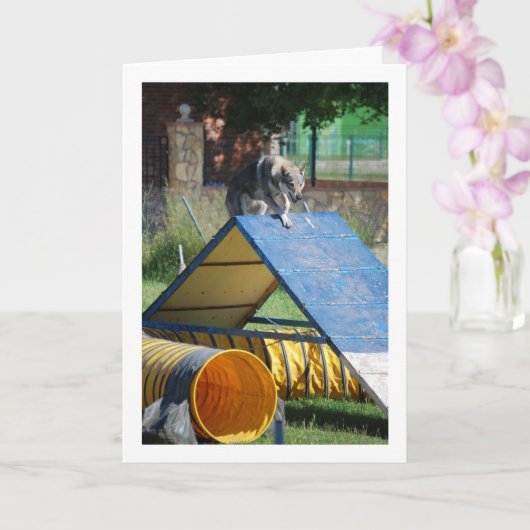 Hund an der Schulungsschule Karte (Orchidee)