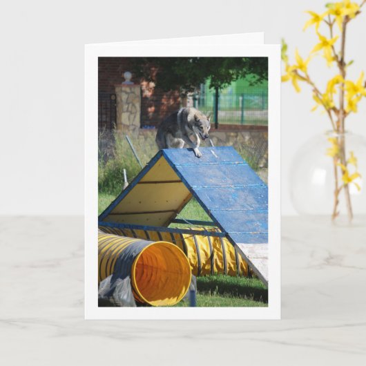 Hund an der Schulungsschule Karte (Gelbe Blume)