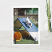 Hund an der Schulungsschule Karte (Vorderseite)