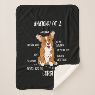Hund Anatomie , Niedlich Walisische Corgi Welpe Bi Sherpadecke