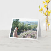 Hund auf Bergportrait Karte (Gelbe Blume)