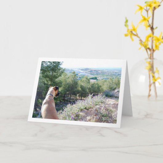 Hund auf Bergportrait Karte (Gelbe Blume)