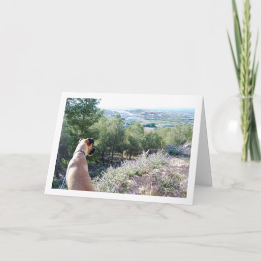 Hund auf Bergportrait Karte (Vorderseite)