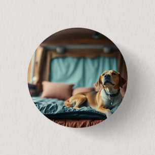 Hund auf Bett Button