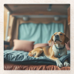 Hund auf Bett Glasuntersetzer