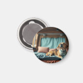 Hund auf Bett Magnet (Vorderseite/Rückseite)