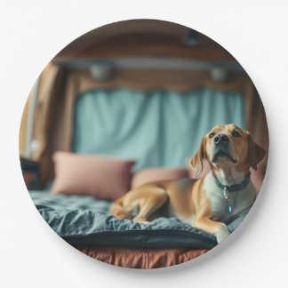 Hund auf Bett Pappteller
