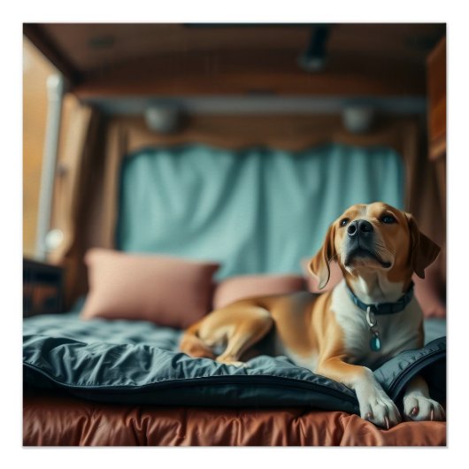 Hund auf Bett Poster (Vorderseite)