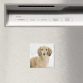 Hund auf Couch Magnet (In Situ (Geschirrspüler))