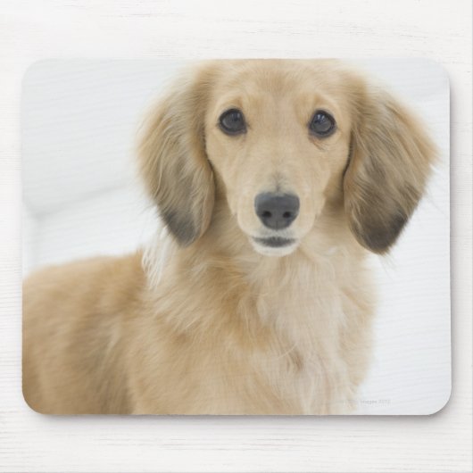 Hund auf Couch Mousepad (Vorne)