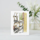 Hund auf Couch-Postkarten Postkarte (Stehend Vorderseite)