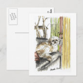 Hund auf Couch-Postkarten Postkarte (Vorne/Hinten)