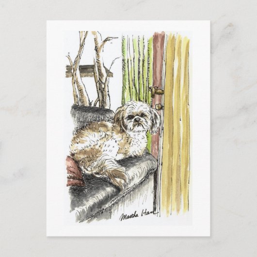 Hund auf Couch-Postkarten Postkarte (Vorderseite)