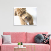 Hund auf dem Boden stehend Leinwanddruck (Insitu (Wohnzimmer))