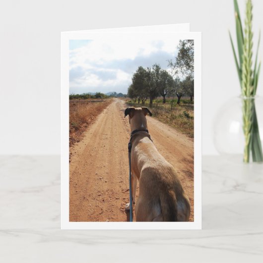 Hund auf der Dusty Road Karte (Vorderseite)
