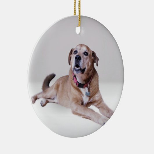 Hund auf einem Ornament (Rechts)