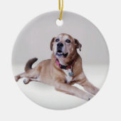 Hund auf einem Ornament (Vorne)
