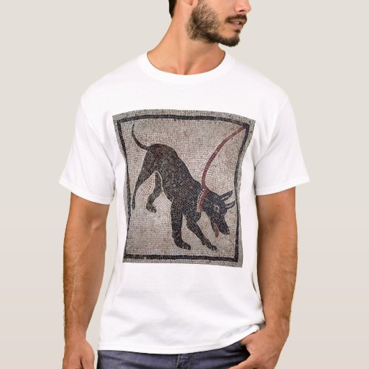 Hund auf einer Leine, von Pompeji T-Shirt (Vorderseite)