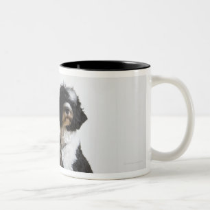 Hund auf einer Leine Zweifarbige Tasse