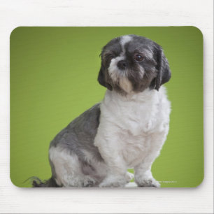 Hund auf einer Spalte Mousepad