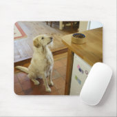 Hund auf Essen auf dem Tisch. Mousepad (Mit Mouse)