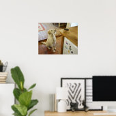 Hund auf Essen auf dem Tisch. Poster (Heimbüro)