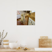 Hund auf Essen auf dem Tisch. Poster (Küche)