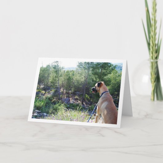 Hund auf Hügel-Portrait Karte (Vorderseite)
