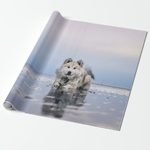 HUND AUF KALMKÖRPER GESCHENKPAPIER