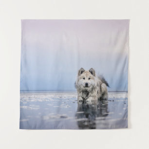 HUND AUF KALMKÖRPER WANDTEPPICH