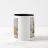 Hund auf Matte mit Plastikente Tasse (Zentrum)
