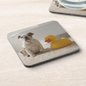 Hund auf Matte mit Plastikente Untersetzer (Linke Seite)