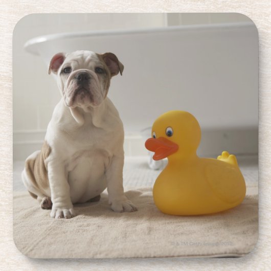 Hund auf Matte mit Plastikente Untersetzer (Vorderseite)
