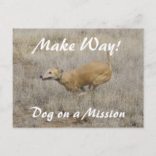 Hund auf Mission Postkarte